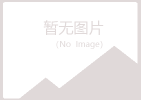 黑河爱辉夏日服务有限公司